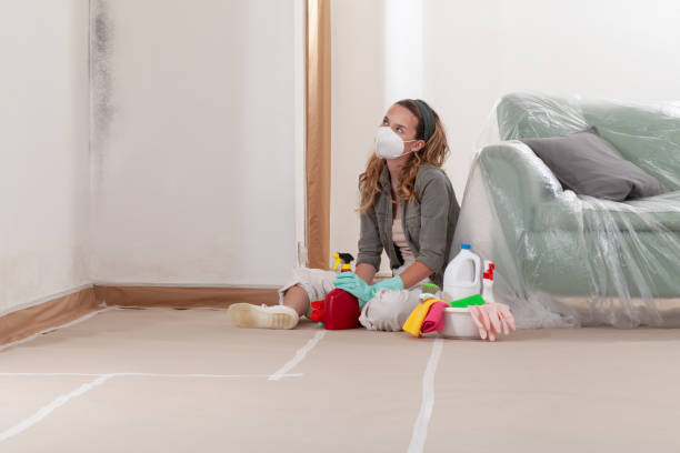 Reliable Mold Testing contractor in Stokes, NC by WQB Mold Removal
